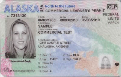 Image of Alaska's Driver's License