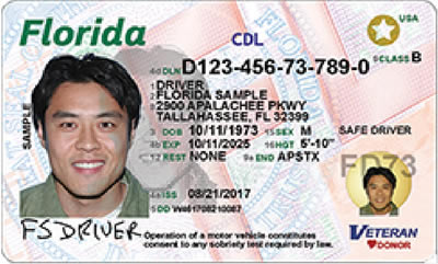 Image of Florida's Driver's License