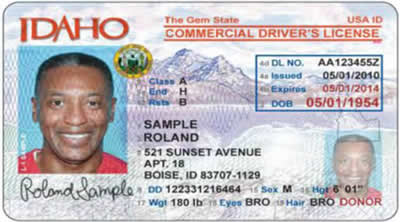 Image of Idaho's Driver's License