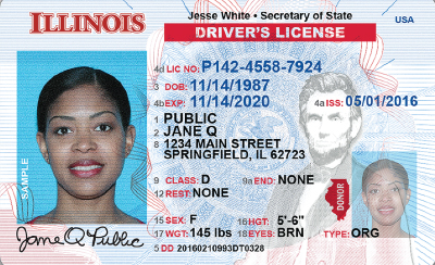 Image of Illinois's Driver's License