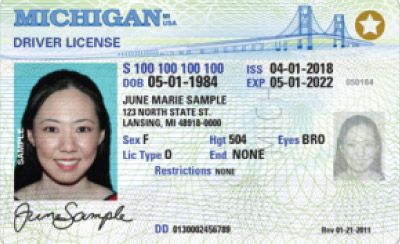 Image of Michigan's Driver's License