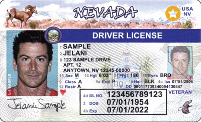 Image of Nevada's Driver's License