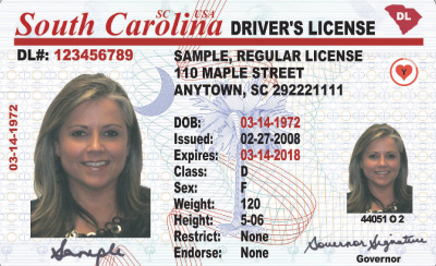 Image of South Carolina's Driver's License