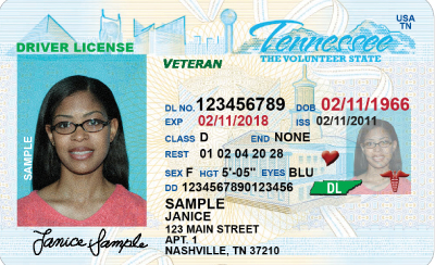 Image of Tennessee's Driver's License